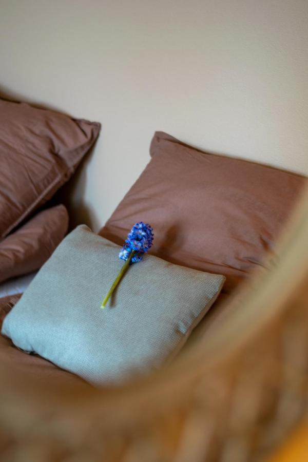 Mosters Bed & Breakfast Guldborg Luaran gambar
